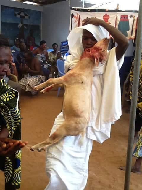 Vodoun Imagens do Benin|Togo mas que poderiam ser tiradas no Brasil