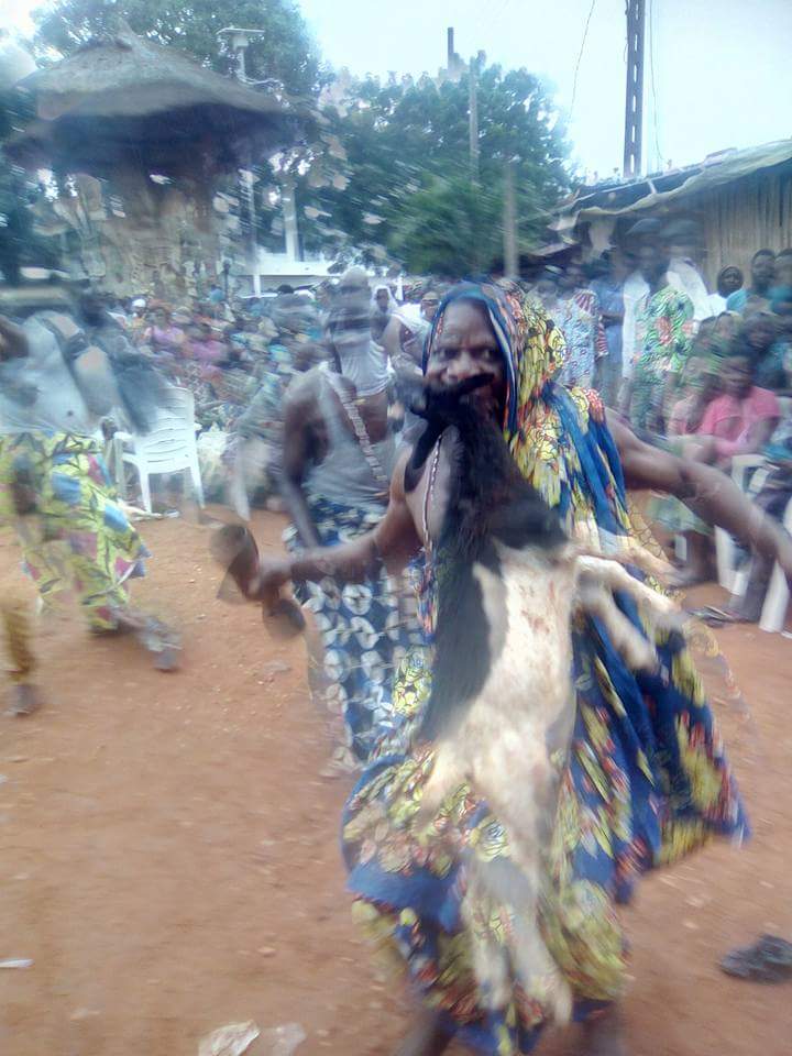 Vodoun Imagens do Benin|Togo mas que poderiam ser tiradas no Brasil