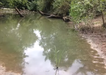 Uma família descendente de Yemoja em Sepeteri – Oyo – Nigéria