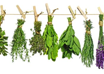 ESE/ITAN ODU OBARA – ERINDILOGUN – JOGO DOS 16 BÚZIOS.