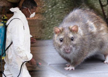 A Nigéria já está lidando com um surto viral mais mortal que o COVID-19