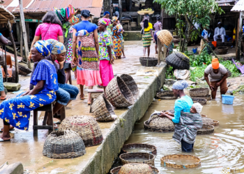 Dentro do antigo mercado de peixes Epe, onde apenas mulheres comercializam